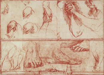 Studie van handen en voeten voor het Laatste Avondmaal van San Salvi