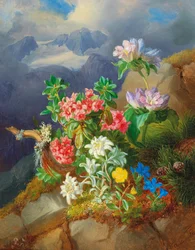Alpenbloemen