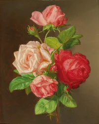 Rozen
