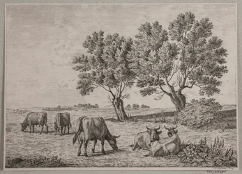 Landschap met grazend vee
