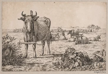 Landschap met koeien