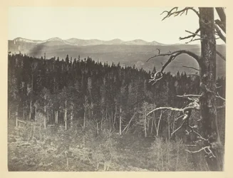 Sneeuw- en houtlijn, Medicine Bow Mountain