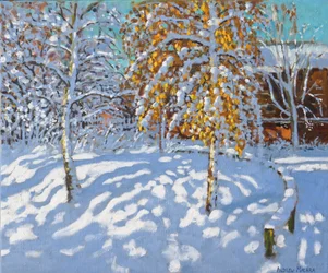 Gouden Bladeren in de Winter, Normanton, Derby