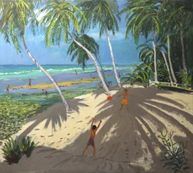 Palmbomen, Clovelly strand, Barbados, 2013