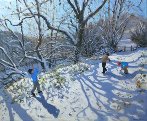 Sneeuwballengevecht, 2007
