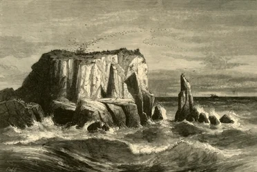 Kustscène, Marin County, 1872