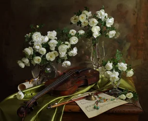 Vioolmuziek van White Roses