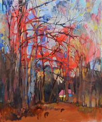 Het pad naar de Red Forest-hut