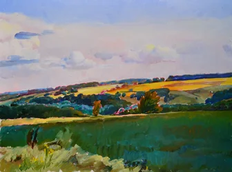 Landschap met glooiende velden