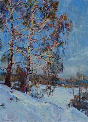 Zonovergoten winterberken
