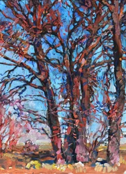 Kleurrijke herfstbomen