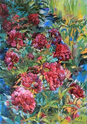 Kleurrijke bloemen in de tuin