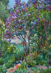 Levendige lila-tuin
