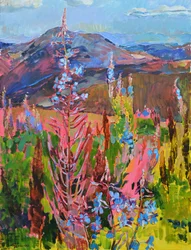 Kleurrijke bergbloemen