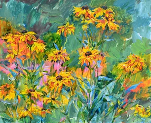 Kleurrijke zomerbloemen