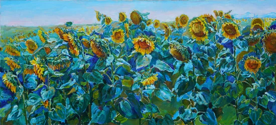 Kleurrijk zonnebloemenveld
