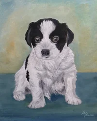 Schattige, pluizige puppy