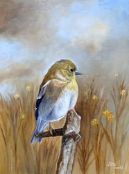 Herfstvink-zangvogel