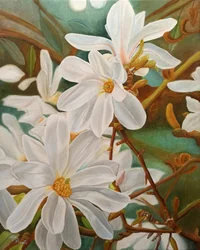 Bloeiende witte magnolia