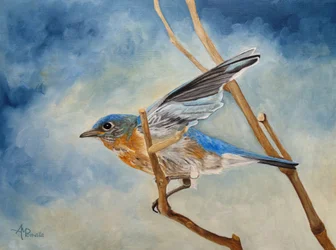 Bluebird gaat de lucht in