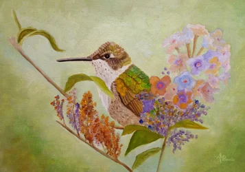 Kleurrijke kolibri-tuin