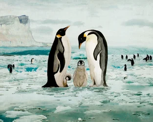 De familie van de keizerspinguïns