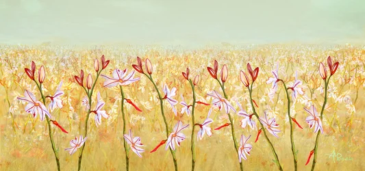 Bloei in het gouden veld