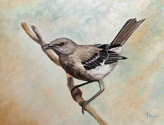 Spotvogel op een tak