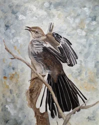 De spotvogel spreidt zijn vleugels