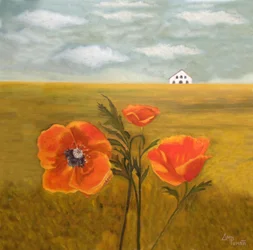 Oranje klaprozen op het platteland