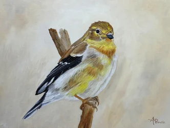Een gele vink die op een tak zit