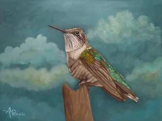 De Skyward-kolibrie