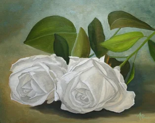 Witte rozen
