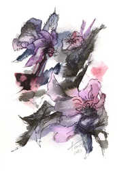Stemmige bloemenschets