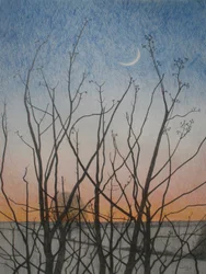 Vanuit mijn raam, 2011