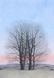 Nieuwe maan, 2011