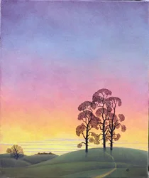 Pad door de pijnbomen, 2004