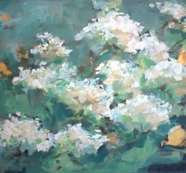 Witte bloemen in de tuin