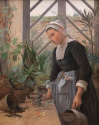 Bretonse meisje zorgt voor planten in de kas
