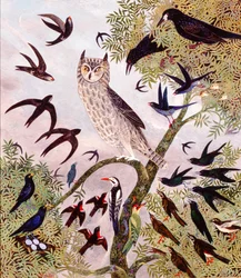 Stokken en stenen, 2000 (acryl)