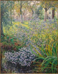 Bloemen in de tuin