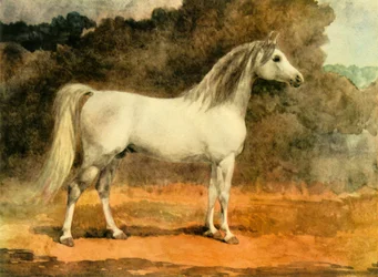 Een beroemde Arabische hengst, ca. 1870s, 1944