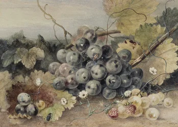 Druiven en Aardbeien