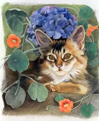 Sootsy met Hortensia