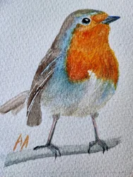 Charmante roodborst in aquarel