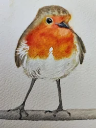 Schattig roodborstje in aquarel