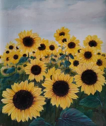 Een kleurrijk zonnebloemenveld