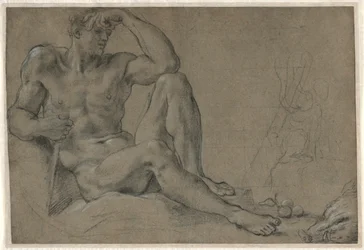 Hercules Rustend (recto)