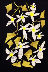 Vrolijke bloemencollage