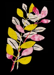 Roze-gele botanische collage